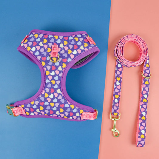 Luxe Love Pet Harness & Leash Set