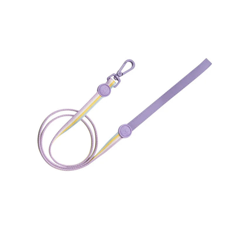 The Everyday Explorer Leash Set