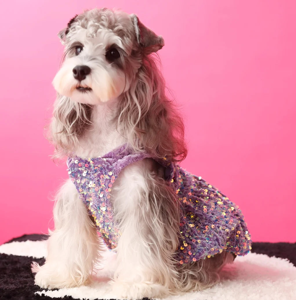 Glam Sequin Party Dress