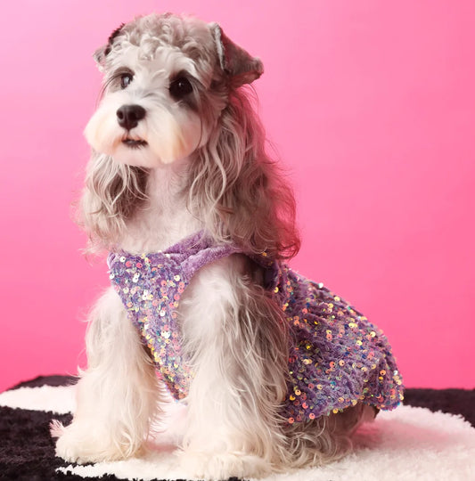 Glam Sequin Party Dress