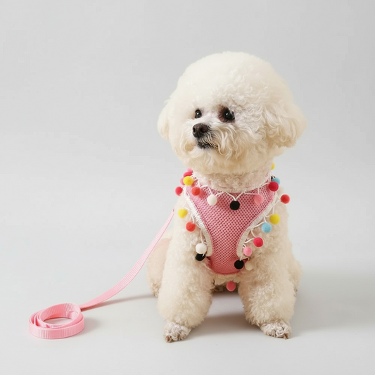 Rainbow Pom-Pom Dog Harness & Leash Set
