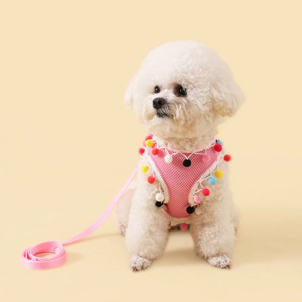 Rainbow Pom-Pom Dog Harness & Leash Set