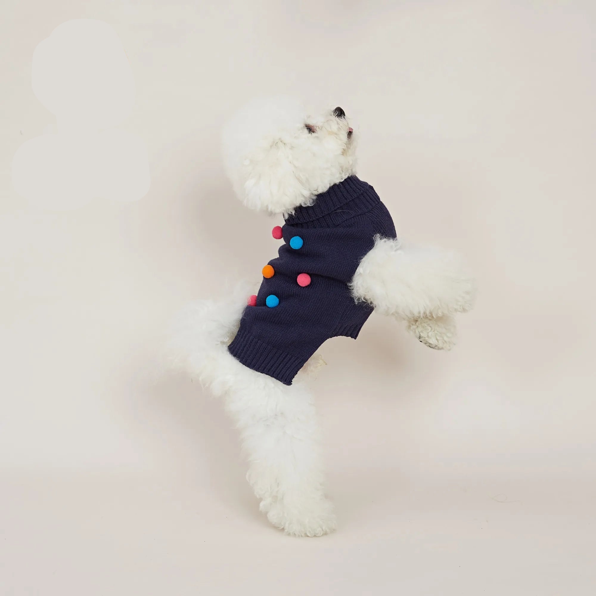 Polka Dot Pom-Pom Sweater