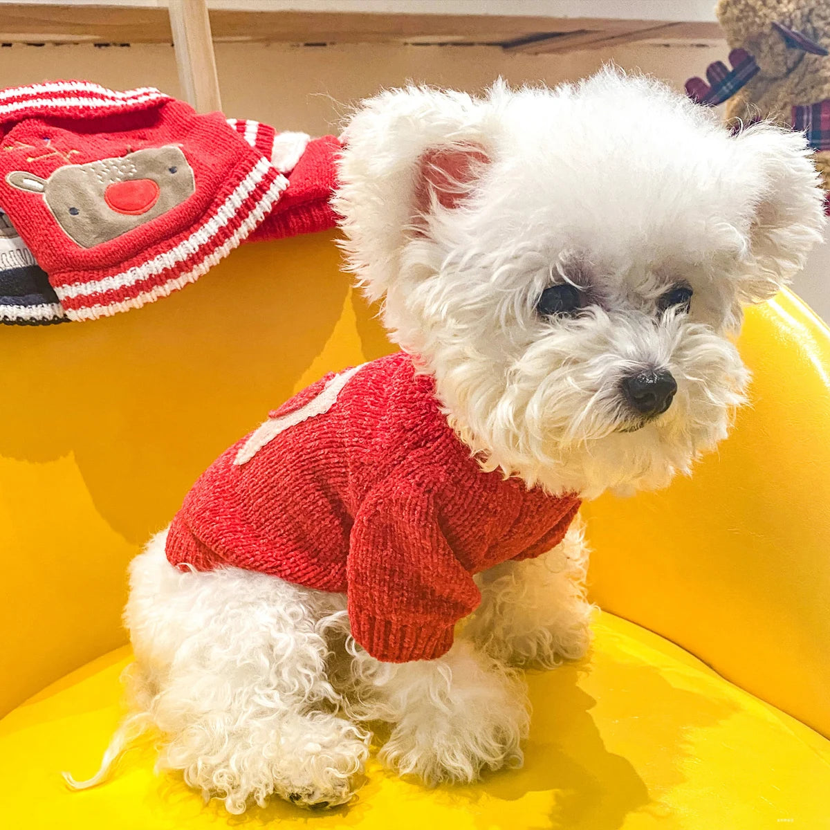 Heart Red Pullover Sweater