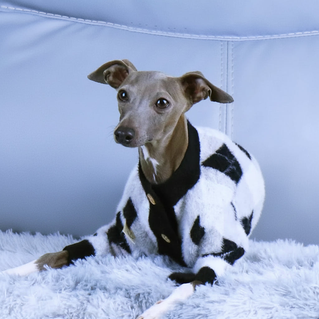 The Preppy Pup Cardigan