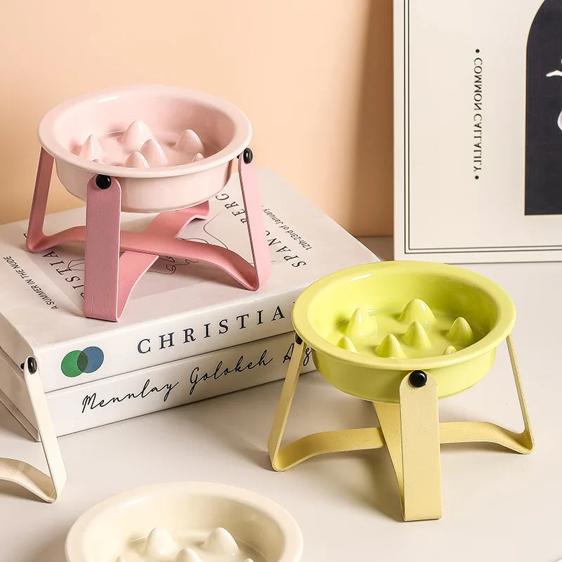 Elevated Ceramic Slow Feeder Dog Bowl