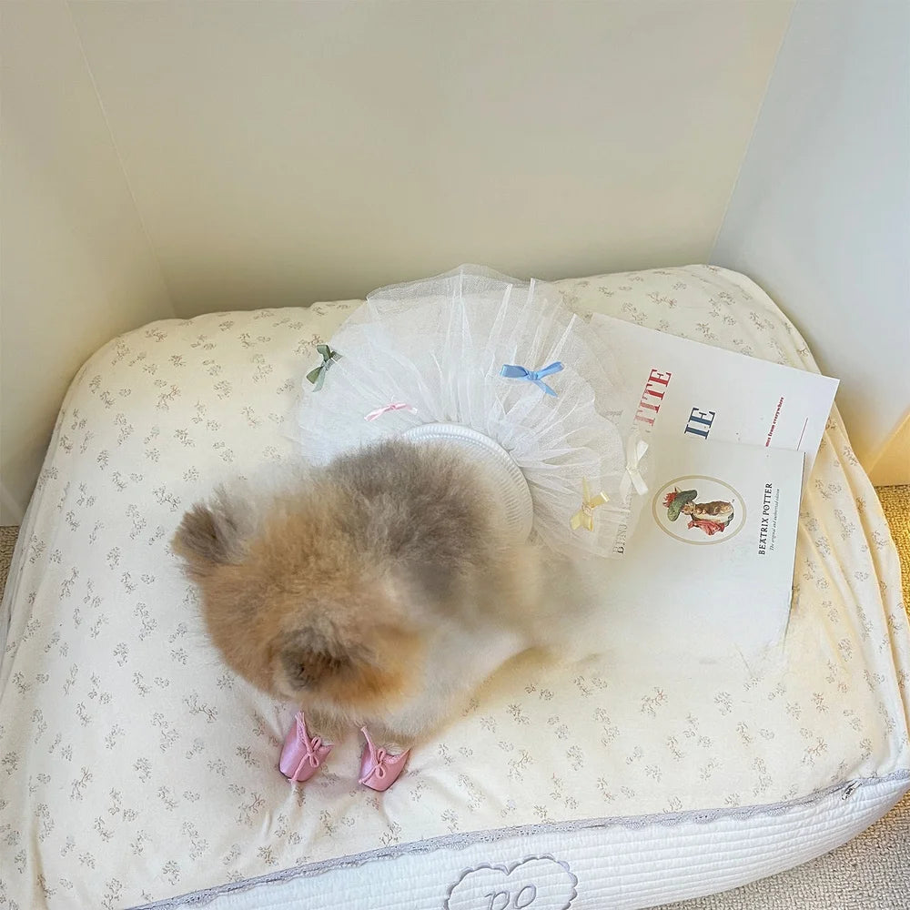 Tulle Ballerina-Style Dress