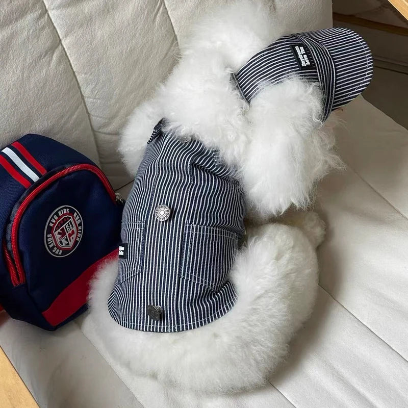 The Pinstripe Pup Vest + Hat Set
