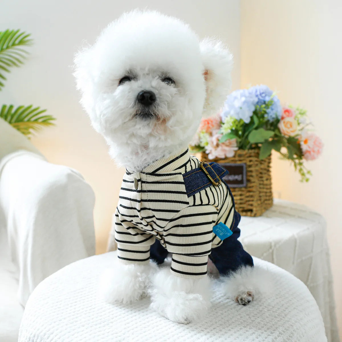 Love Pullover & Denim Overall