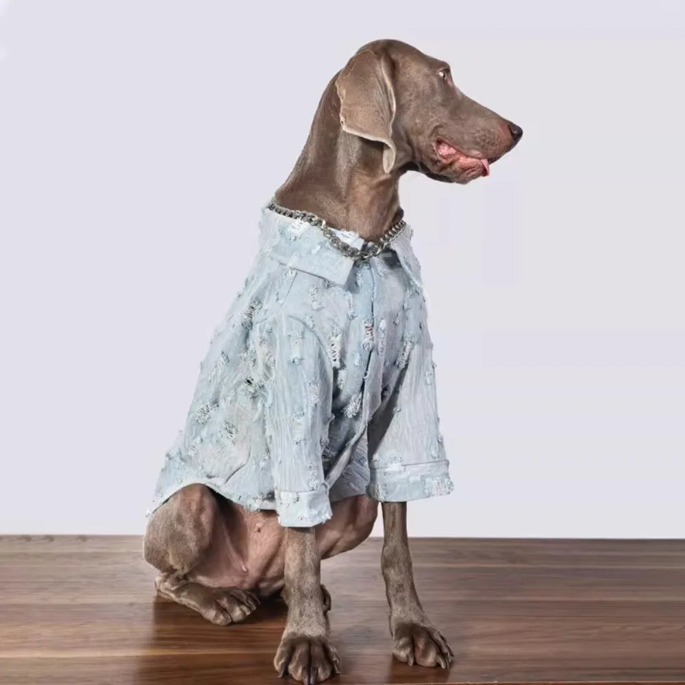 The Urban Distressed Denim Shirt
