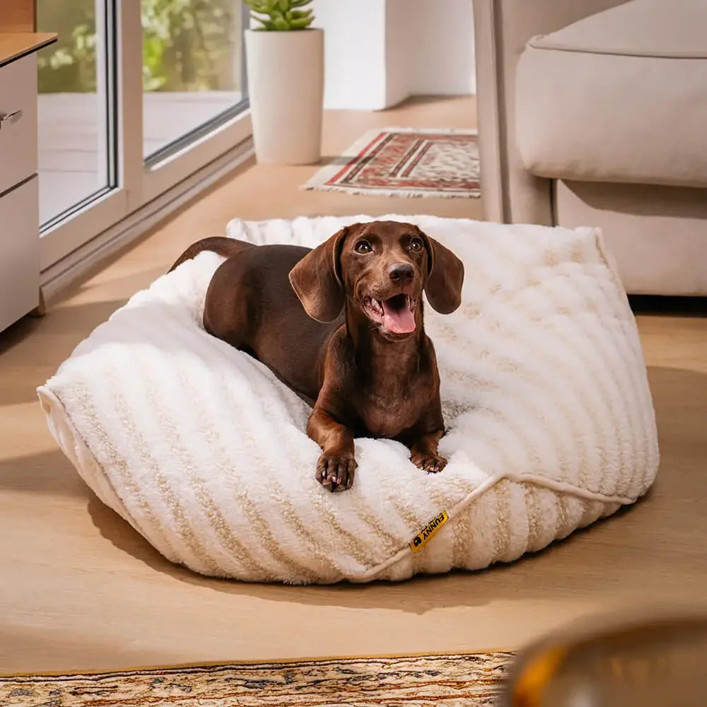 Striped Polygonal Dog Bed