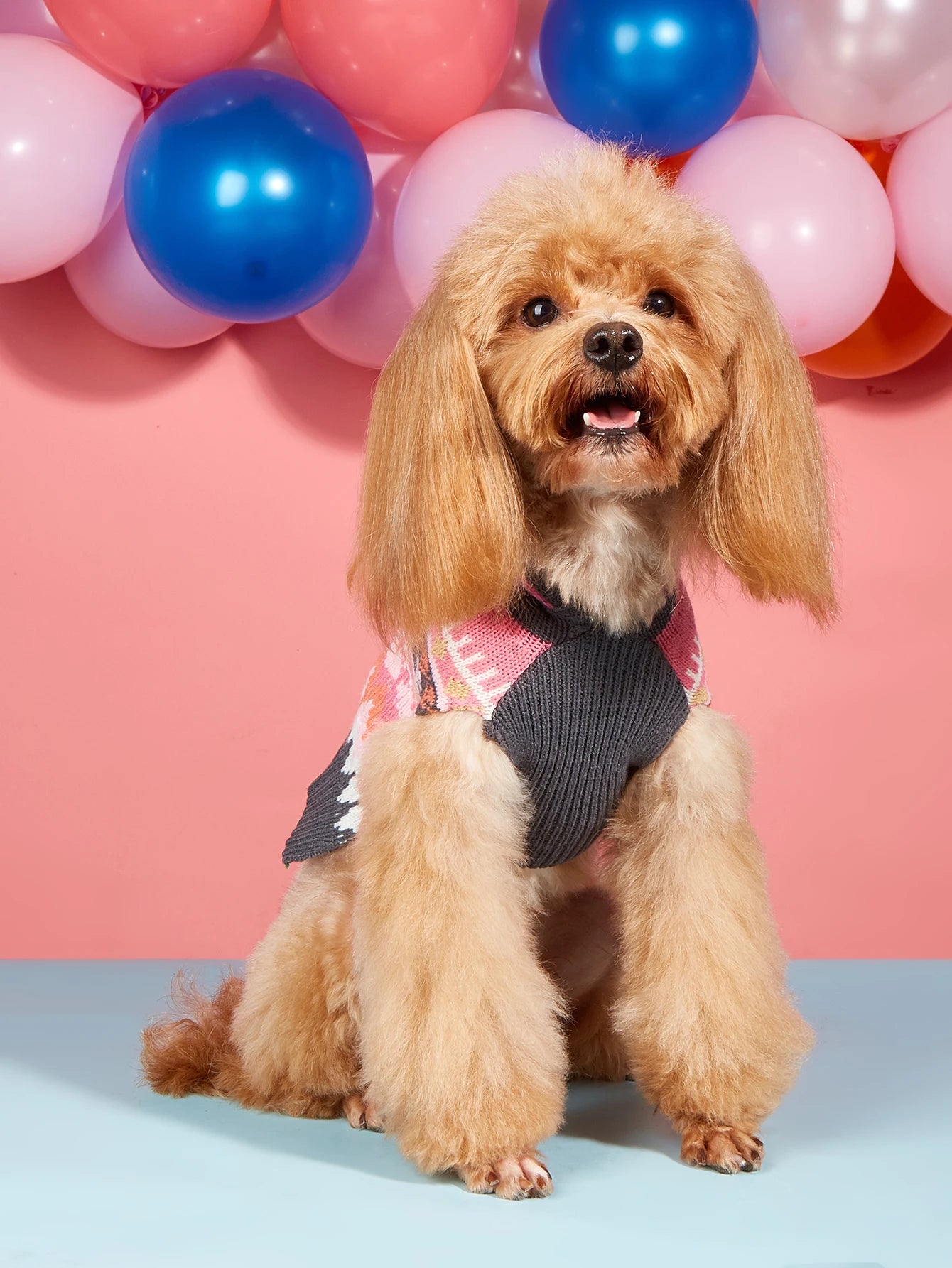 Striped Dog Sweater with Fuzz Ball Hood