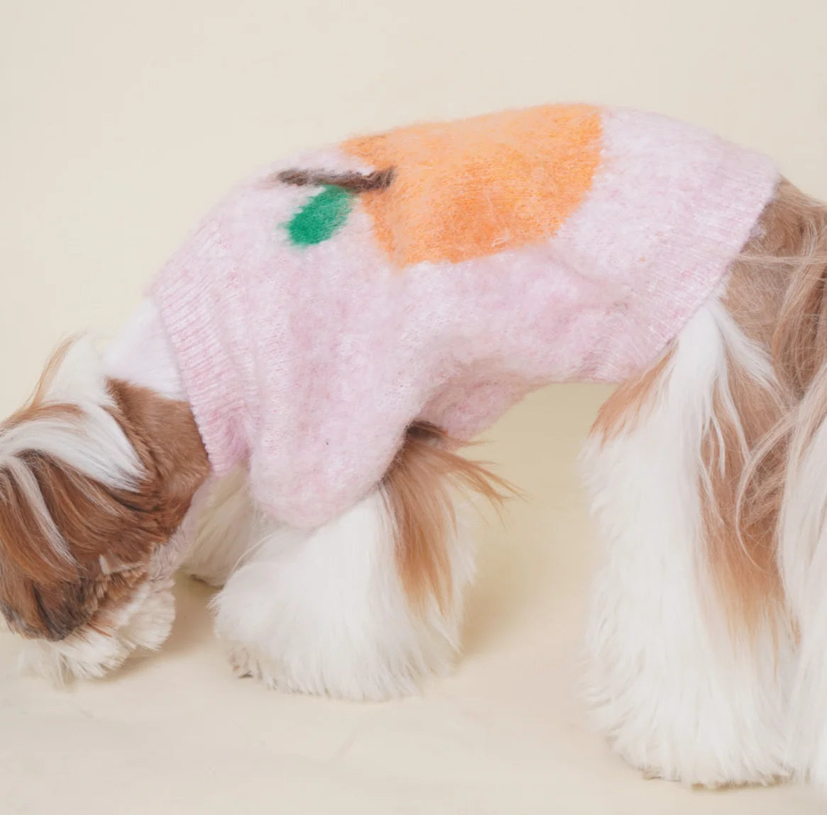 The Fruity Fuzz Sweater