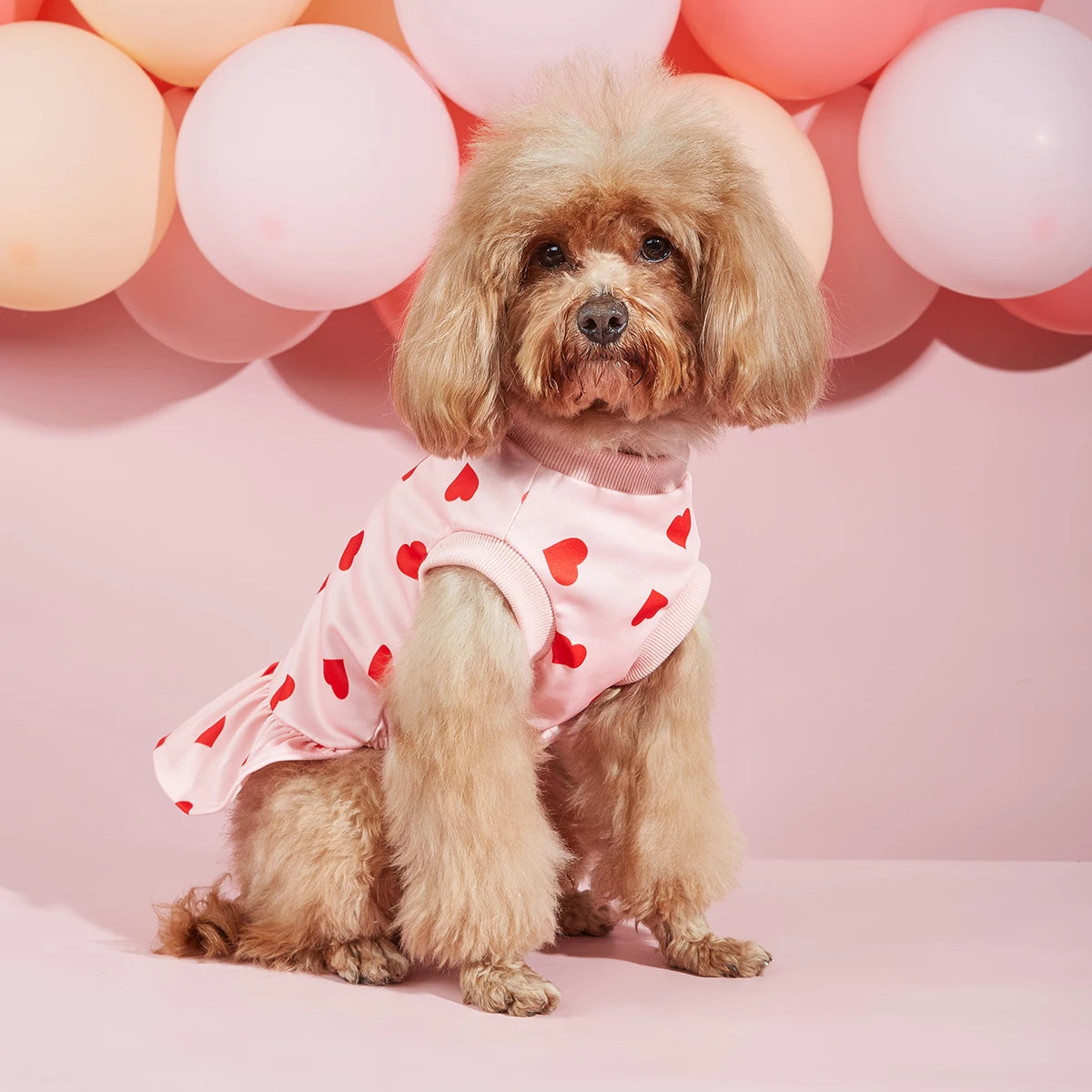 Sweetheart Dress