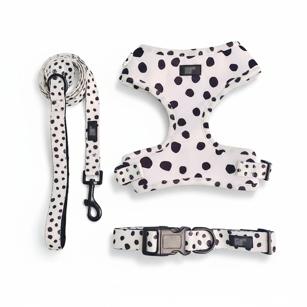 The Dotty Walk Set