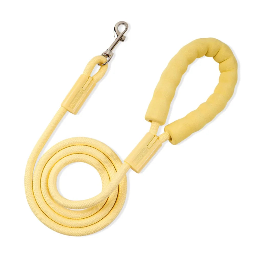 Dopamine Dog Leash