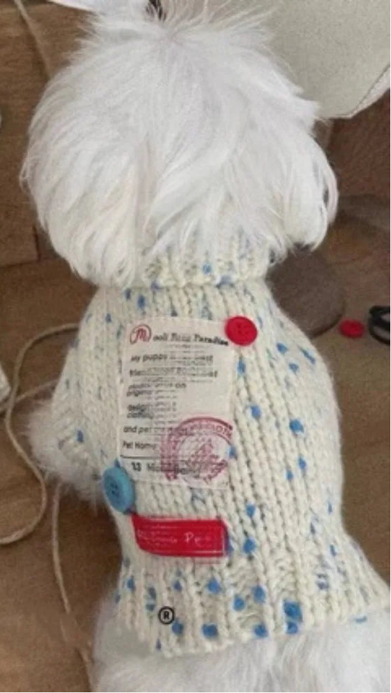 The Snowfall Knit Turtleneck Sweater