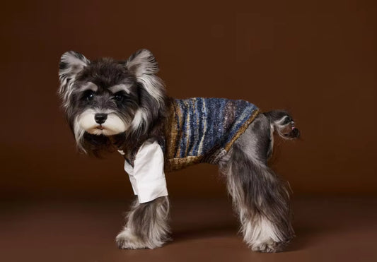 The Aura Stripe Sweater