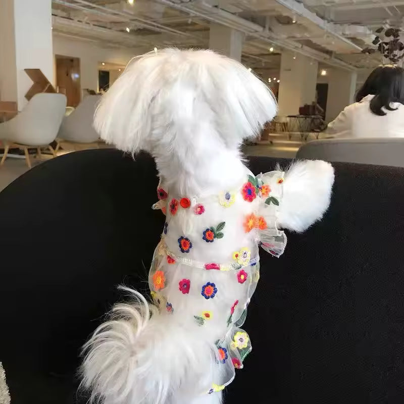 Floral Sheer Embroidered Dress