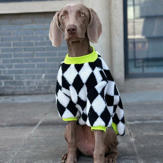 The Neon Diamond Fuzz Sweater