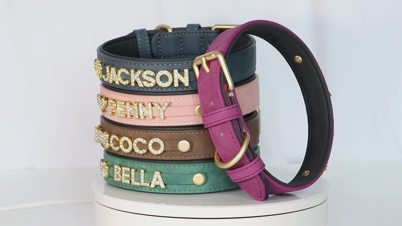 Personalized Bling Leather Collar