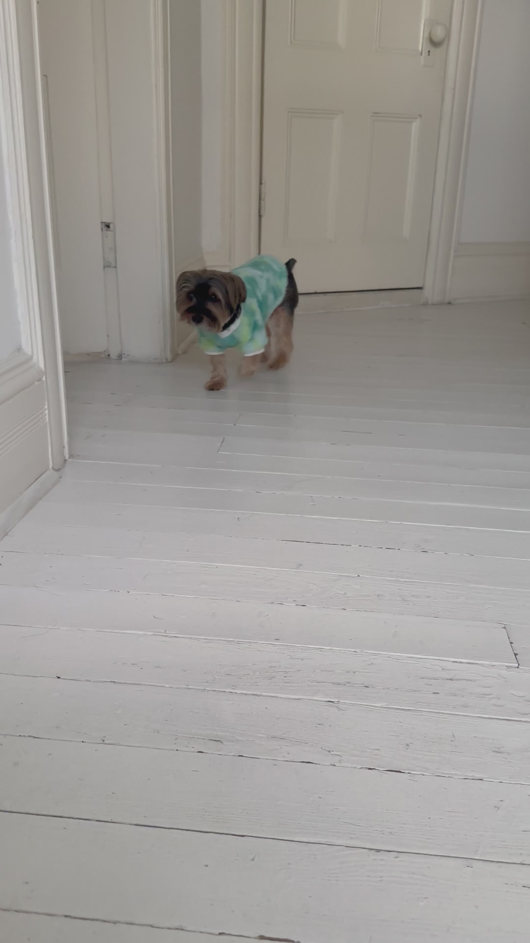 The Cotton Candy Cloud Sweater