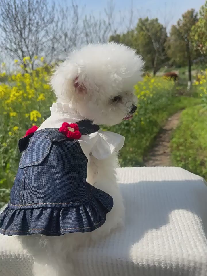 Denim Strap Dress for Dogs